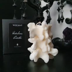 Best Pirce ⭐ WIXCRAFT CANDLES Gothic Homewares Vertebrae | CANDLE` 😉 -Halloween Decor Sale 20220401 113404 540x 1d61f527 528d 4d01 bd2a 1f48746492c1 700x700