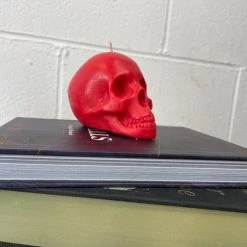 Discount ✨ THE BLACKENED TEETH Gothic Homewares Skull [Cherry] | SCENTED CANDLE` 🌟 -Halloween Decor Sale IMG 5892 f9378cd6 ea9f 43c6 a9c9 ed615816d895 700x700