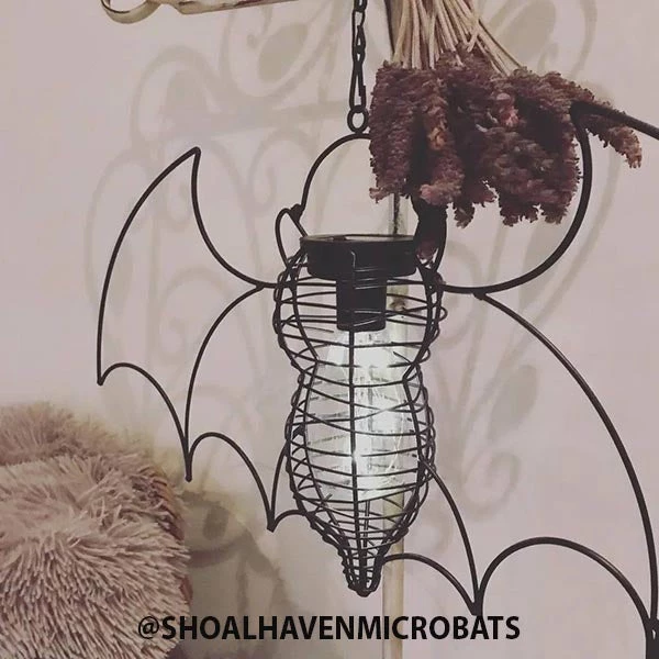 Best Sale βοΈ ALCHEMY GOTHIC Bats Bat | GARDEN LIGHT π― 4 Best Sale βοΈ ALCHEMY GOTHIC Bats Bat | GARDEN LIGHT π― - Image 2
