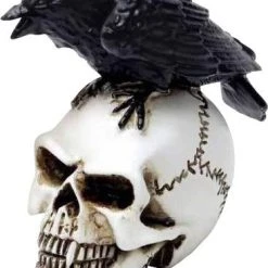 New ๐ ALCHEMY GOTHIC Gothic Homewares Raven Skull | MINIATURE โจ