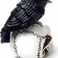 New 🛒 ALCHEMY GOTHIC Gothic Homewares Raven Skull | MINIATURE ✨ -Halloween Decor Sale alchemy gothic raven skull miniature 3 5d6b8ee5 8004 4ede 893a a24bb07f4ad1 700x700