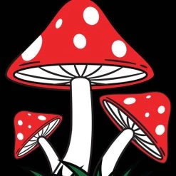 Promo 👍 BESERK CRYPT Gothic Homewares Mushroom | TAPESTRY BLANKET 🧨 -Halloween Decor Sale beserk crypt mushroom printed tapestry 04 154696ff 0465 419c 9949 b48f87d1e6b3 700x700