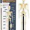 Cheap 🛒 FUNTIME Skulls Anatomical Skeleton | KIT 🧨 -Halloween Decor Sale funtime anatomical skeleton kit 1 c709c3f6 3cdf 4495 9aaa 77b4ea9385d9 700x700