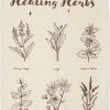 Promo 🎁 GOTHIC GIFTS All Healing Herbs | TEA TOWEL ✨ -Halloween Decor Sale gothic gifts healing herbs tea towel 1 aed11ed2 e0a1 406f 9d6c f398f395b081 700x700