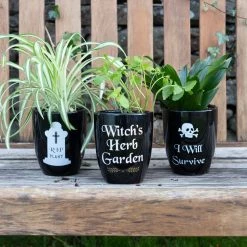 Best Pirce π₯° GOTHIC GIFTS All RIP Plant | GOTHIC PLANT POT π 6 Best Pirce π₯° GOTHIC GIFTS All RIP Plant | GOTHIC PLANT POT π -Halloween Decor Sale gothic gifts rip plant gothic plant pot 3 9d562652 3ea8 4be1 83cf 113225bfb3d4 700x700