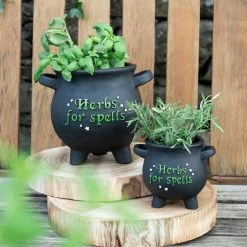Promo 🔔 GOTHIC GIFTS Herbs For Spells [Small] | CAULDRON PLANT POT* ✔️ -Halloween Decor Sale gothic gifts small herbs for spells cauldron plant pot 3 bd97bcb3 e2f2 44b0 b578 926fd33aa59b 700x700