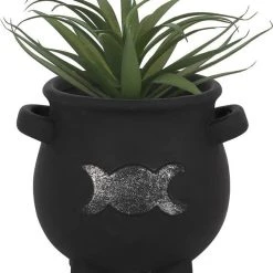 Best Pirce ⭐ GOTHIC GIFTS Gothic Homewares Triple Moon | CAULDRON PLANT POT ⌛ -Halloween Decor Sale gothic gifts triple moon cauldron terracotta plant pot 2 5d9da40f 56bc 4f61 a57a afb2f287504c 700x700