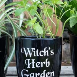 Promo 😀 GOTHIC GIFTS All Witch's Herb | GARDEN PLANT POT 🔔