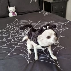 Cheapest โ HELLS BLANKETS Gothic Homewares Web Of Nightmares | QUEEN QUILT SET ๐คฉ 12 Cheapest โ HELLS BLANKETS Gothic Homewares Web Of Nightmares | QUEEN QUILT SET ๐คฉ -Halloween Decor Sale hells blankets web of nightmares quilt set 06 ec858dc6 5b88 408e 8977 14fa77a82d90 700x700