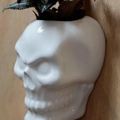 Outlet ❤️ HOMEWARES Gothic Homewares Ceramic Skull Garden | WALL PLANTER ✨