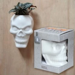 Outlet ❤️ HOMEWARES Gothic Homewares Ceramic Skull Garden | WALL PLANTER ✨ -Halloween Decor Sale homewares ceramic skull garden wall planter 5 ab4a4a75 311a 4a6b 8ce6 e4c51200abba 700x700