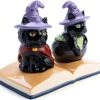 Best Pirce ❤️ HOMEWARES Black Cats | SALT & PEPPER SET ⌛