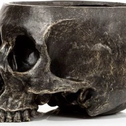Discount 🛒 HOMEWARES Gothic Homewares Skull | GARDEN PLANTER 😉