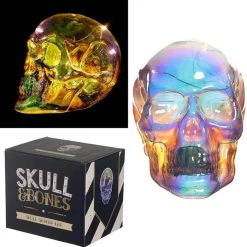 Cheap π HOMEWARES Rainbows & Pride Skulls And Roses | IRIDESCENT RAINBOW LED π― 12 Cheap π HOMEWARES Rainbows & Pride Skulls And Roses | IRIDESCENT RAINBOW LED π― -Halloween Decor Sale homewares skulls and roses iridescent rainbow led 2 8bf98ada f8a7 4236 9010 3c4af4f20d4d 700x700