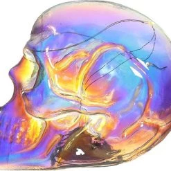 Cheap π HOMEWARES Rainbows & Pride Skulls And Roses | IRIDESCENT RAINBOW LED π― 13 Cheap π HOMEWARES Rainbows & Pride Skulls And Roses | IRIDESCENT RAINBOW LED π― -Halloween Decor Sale homewares skulls and roses iridescent rainbow led 4 fef1525f 77e2 4c68 bb61 842fb5cef092 700x700