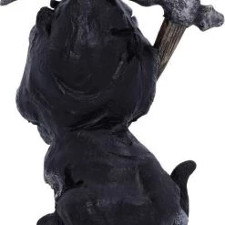 Best Pirce 🎉 NEMESIS NOW Gothic Homewares Amara | FIGURINE` 💯 -Halloween Decor Sale nemesis now amara figurine 3 06967f02 9f7b 4d2e 9f0c 54c6e5aa73db 700x700