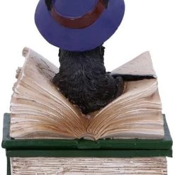 Buy ✨ NEMESIS NOW Gothic Homewares Binx | TRINKET BOX FIGURINE 👏 -Halloween Decor Sale nemesis now binx figurine 3 b0ccae84 7852 4988 9126 e41978d81342 700x700