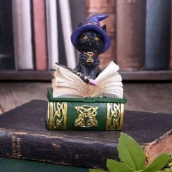 Buy ✨ NEMESIS NOW Gothic Homewares Binx | TRINKET BOX FIGURINE 👏 -Halloween Decor Sale nemesis now binx figurine 6 c6be874d 745f 4d4a 87c2 69e37ec5bdad 700x700