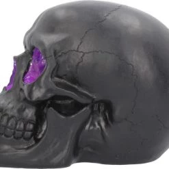 Best Pirce 🔥 NEMESIS NOW Gothic Homewares Geode [Pink/Purple] | SKULL` 👏 -Halloween Decor Sale nemesis now geode skull figurine 3 0bba8b93 7462 473c 9284 4a0e5908277b 700x700