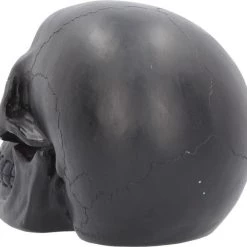 Best Pirce 🔥 NEMESIS NOW Gothic Homewares Geode [Pink/Purple] | SKULL` 👏 -Halloween Decor Sale nemesis now geode skull figurine 4 c09de153 c75e 4ddb b39e 7272712849c4 700x700