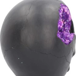 Best Pirce 🔥 NEMESIS NOW Gothic Homewares Geode [Pink/Purple] | SKULL` 👏 -Halloween Decor Sale nemesis now geode skull figurine 5 6c0a4d48 e014 42d8 97cd 3c2d5399be5e 700x700