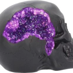 Best Pirce 🔥 NEMESIS NOW Gothic Homewares Geode [Pink/Purple] | SKULL` 👏 -Halloween Decor Sale nemesis now geode skull figurine 6 54a23d75 7a1f 4b56 a96d 83f0c3d9e826 700x700