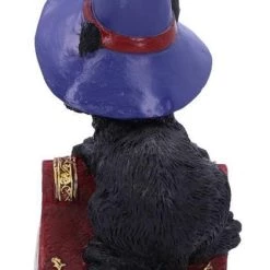 Top 10 🔔 NEMESIS NOW Gothic Homewares Hocus | FIGURINE 🔔 -Halloween Decor Sale nemesis now hocus figurine 2 6e1da75f b83b 46e0 82a3 c2eae321398a 700x700