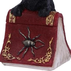 Top 10 🔔 NEMESIS NOW Gothic Homewares Hocus | FIGURINE 🔔 -Halloween Decor Sale nemesis now hocus figurine 4 c3a5394c 27e2 4199 a103 50c9e45c767a 700x700