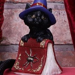 Top 10 🔔 NEMESIS NOW Gothic Homewares Hocus | FIGURINE 🔔