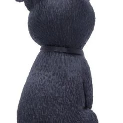 Promo 🥰 NEMESIS NOW Cats Pawzuph | FIGURINE ⭐ -Halloween Decor Sale nemesis now pawzuph figurine 3 de1f3ba4 9bae 4b17 b333 0441eba28913 700x700