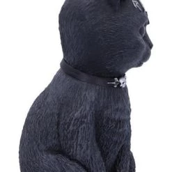 Promo 🥰 NEMESIS NOW Cats Pawzuph | FIGURINE ⭐ -Halloween Decor Sale nemesis now pawzuph figurine 4 5030e3cf 1ff3 44eb 86c6 432362308e1c 700x700