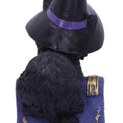 Coupon ❤️ NEMESIS NOW Gothic Homewares Pocus | FIGURINE` ⭐ -Halloween Decor Sale nemesis now pocus figurine 2 37b48678 5ced 4872 a63b 88117bb77807 700x700