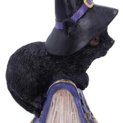 Coupon ❤️ NEMESIS NOW Gothic Homewares Pocus | FIGURINE` ⭐ -Halloween Decor Sale nemesis now pocus figurine 3 c7754422 ebae 495e a278 b99323629113 700x700