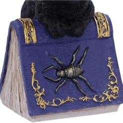 Coupon ❤️ NEMESIS NOW Gothic Homewares Pocus | FIGURINE` ⭐ -Halloween Decor Sale nemesis now pocus figurine 4 5032ef6a 9d18 45c5 b4f2 535c5903b4f6 700x700