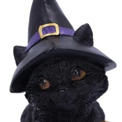 Coupon ❤️ NEMESIS NOW Gothic Homewares Pocus | FIGURINE` ⭐ -Halloween Decor Sale nemesis now pocus figurine 5 ddcfb660 2fbb 4dd3 bd11 5ba5041b6c43 700x700