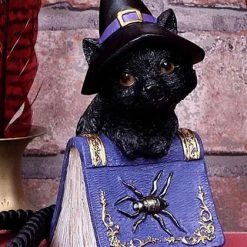 Coupon ❤️ NEMESIS NOW Gothic Homewares Pocus | FIGURINE` ⭐