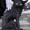 Cheapest 🥰 NEMESIS NOW Cats Salem | FIGURINE` 👏