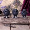 Brand new ⭐ NEMESIS NOW Halloween Three Wise Ravens | FIGURINE 😉 -Halloween Decor Sale nemesis now three wise ravens figurine 7 d546ab04 20b5 4873 b912 c88ae0f25851 700x700