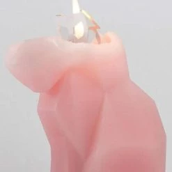 Promo ✔️ PYROPET Cats Kisa [Pink] | CANDLE 🛒 -Halloween Decor Sale pyropet kisa pink candle 03 700x700