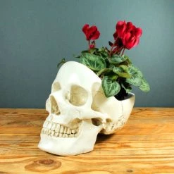 Buy 🎁 SUCK UK Gothic Homewares Skull | BOWL [WHITE] ✨ -Halloween Decor Sale skull white tidy 1 700x700