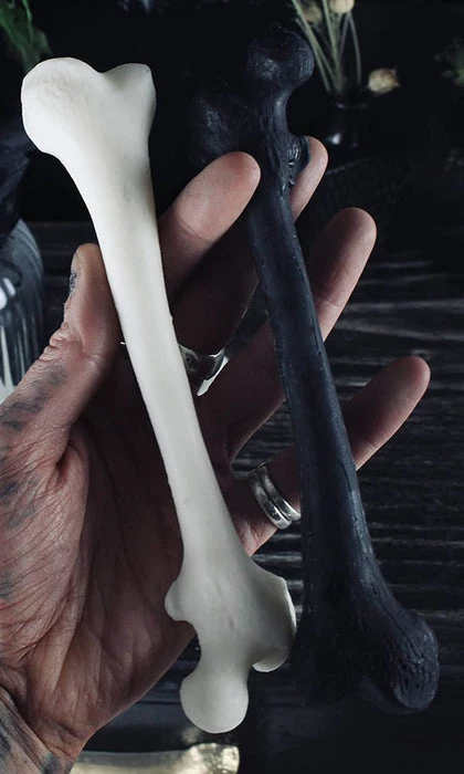 Coupon โค๏ธ THE BLACKENED TEETH Gothic Homewares Bone | WAX MELT SET ๐ 3 Coupon โค๏ธ THE BLACKENED TEETH Gothic Homewares Bone | WAX MELT SET ๐