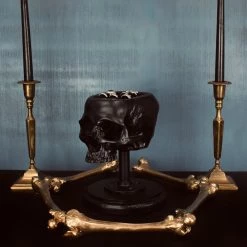 Flash Sale 😀 THE BLACKENED TEETH Gothic Homewares Skull [Black] | JEWELLERY HOLDER 🛒 -Halloween Decor Sale the blackened teeth skull black jewellery holder 2 511b73b6 0651 4a4f b07a 466ad38d850f 700x700