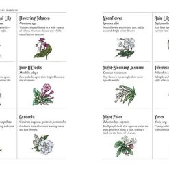 Coupon ✨ MISCELLANEOUS Witchcraft The Green Witch's Garden | BOOK 🔥 -Halloween Decor Sale the green witchs garden book 3 98d63bb5 20f3 4b4c 9b80 3de6c1ff6577 700x700