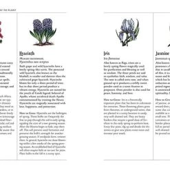 Coupon ✨ MISCELLANEOUS Witchcraft The Green Witch's Garden | BOOK 🔥 -Halloween Decor Sale the green witchs garden book 5 ea4899a1 9875 49bd 8204 70f2ebc04eef 700x700