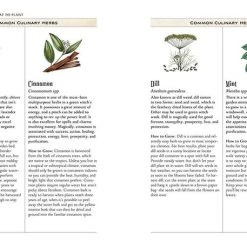 Coupon ✨ MISCELLANEOUS Witchcraft The Green Witch's Garden | BOOK 🔥 -Halloween Decor Sale the green witchs garden book 6 14a3ab6f 860c 4f55 a255 788fa0177c7a 700x700