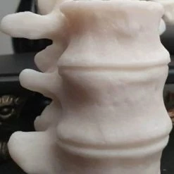 Best Pirce ⭐ WIXCRAFT CANDLES Gothic Homewares Vertebrae | CANDLE` 😉