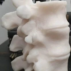 Best Pirce ⭐ WIXCRAFT CANDLES Gothic Homewares Vertebrae | CANDLE` 😉 -Halloween Decor Sale wixcraft candles vertebrae candle 2 cef8d104 8c9f 4768 9570 b27f806f70ac 700x700