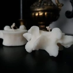 Brand new 🛒 WIXCRAFT CANDLES Gothic Homewares Vertebrae [Single] | TEALIGHT ✔️ -Halloween Decor Sale wixcrafts candles vertebrae single tealight 3 a10c6840 090b 4618 9738 b7cb408d0965 700x700